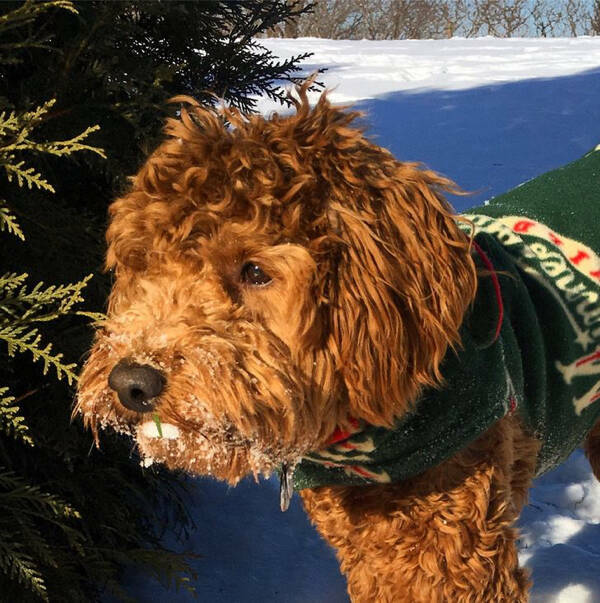 Mind-Bending Images: The Ones That Made Us Do Double-Takes