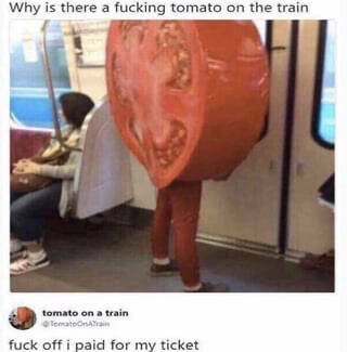 Embracing Chaos: Those Who Delight In Watching The World Burn