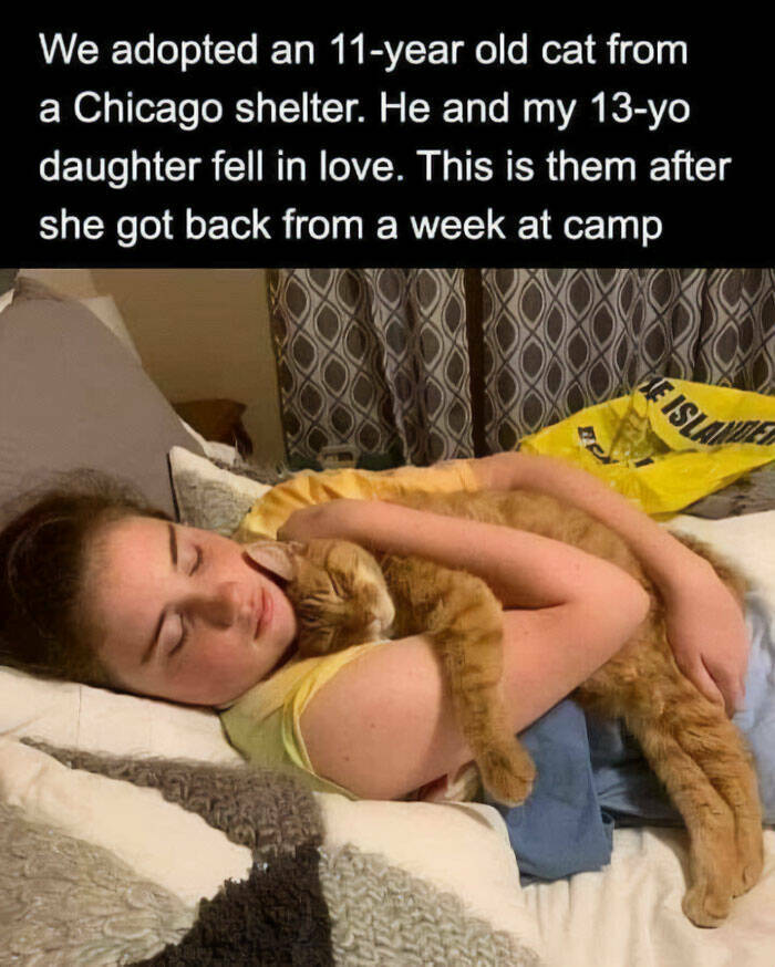 Heartwarming Captures: Images That Are Truly A Blessing