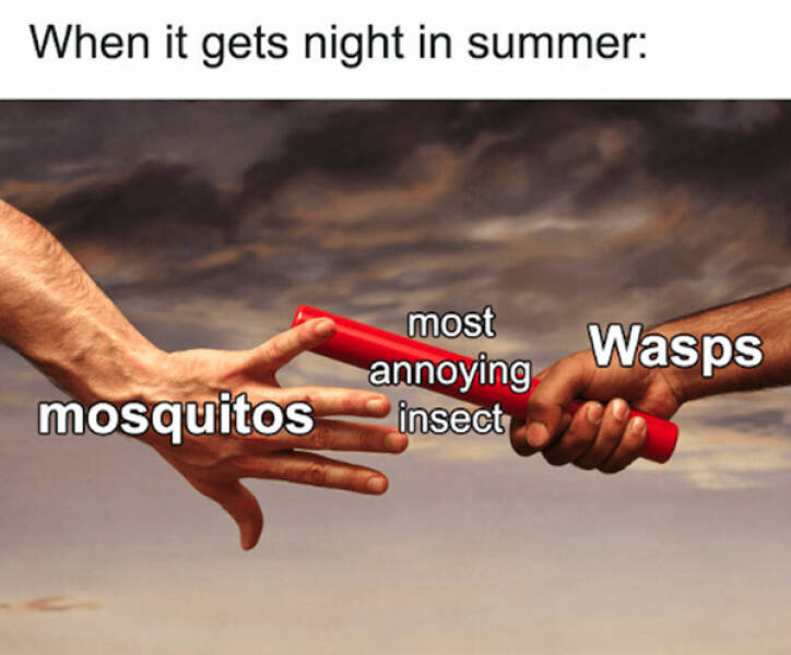 Meme Season: Summers Funniest And Freshest Posts