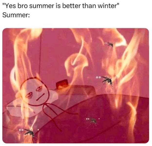 Meme Season: Summers Funniest And Freshest Posts