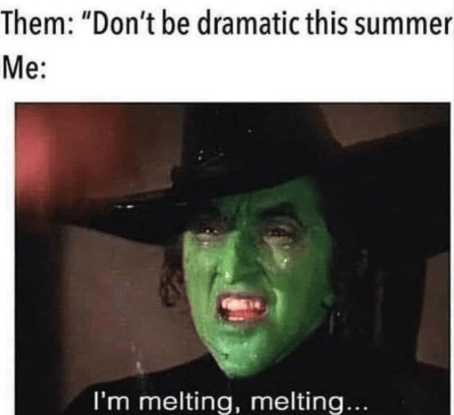 Meme Season: Summers Funniest And Freshest Posts