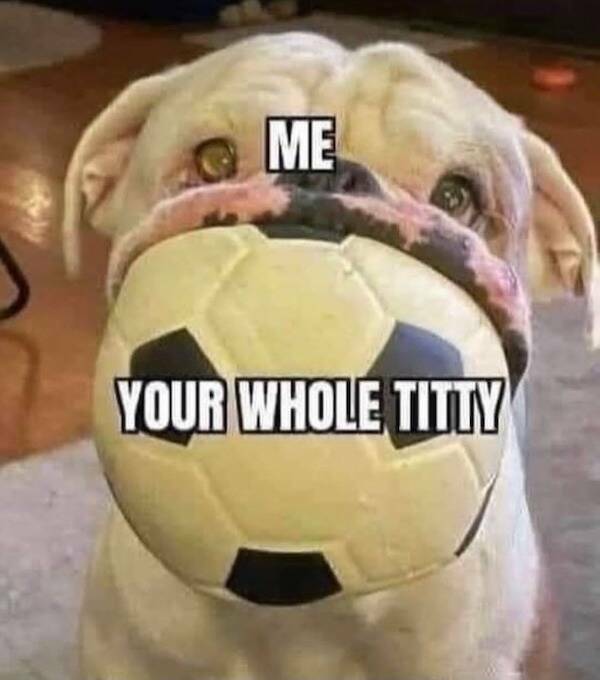 Relatability Strikes: Memes That Are Just Too True Relatability Strikes: Memes That Are Just Too True