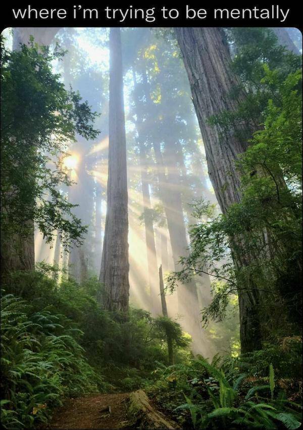 Relatability Strikes: Memes That Are Just Too True Relatability Strikes: Memes That Are Just Too True