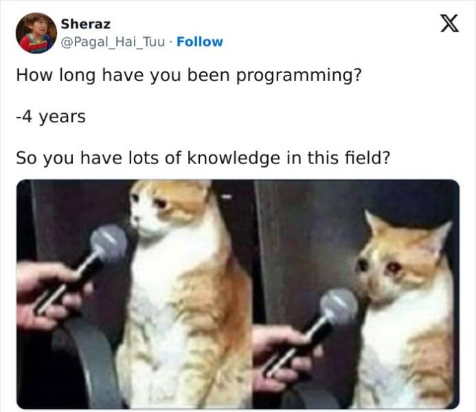 Code Cracks And Laughs: Hilarious Programmer Jokes And Memes