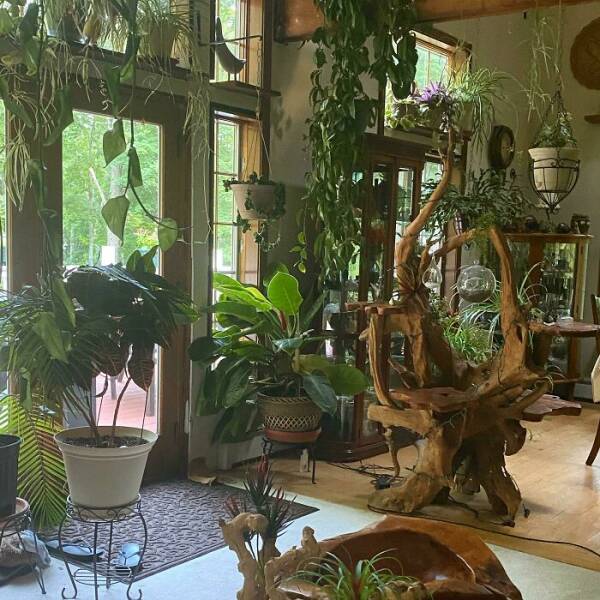 Grandma Meets Hip: Beautiful Illustrations Of Contemporary Cottagecore Grandma Meets Hip: Beautiful Illustrations Of Contemporary Cottagecore