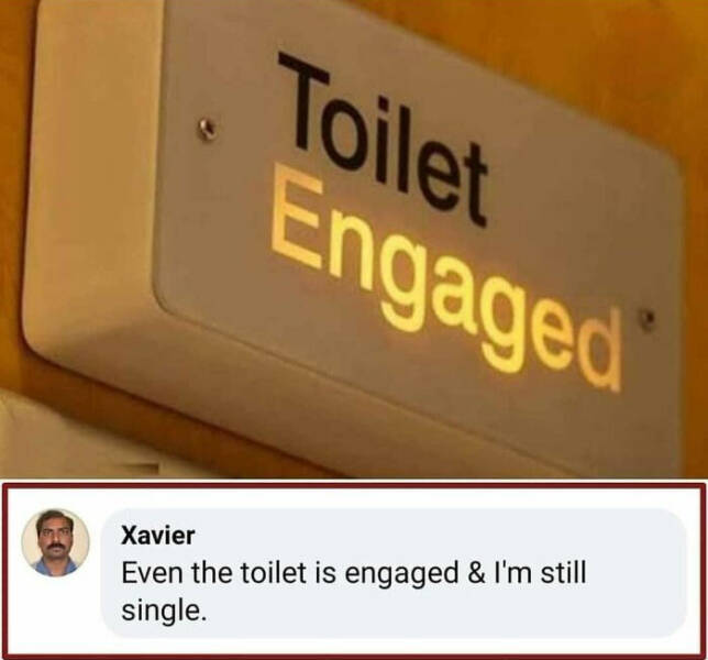 Xaviers Social Media Gems: A Comedy Goldmine