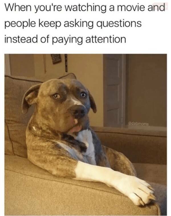 Doggo Memes: Always Welcome, Anytime, Anywhere