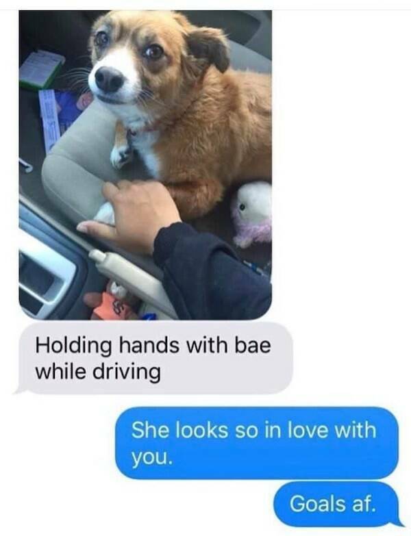 Doggo Memes: Always Welcome, Anytime, Anywhere