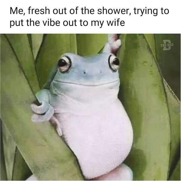 Memes That Balance Humor And Heart For Husbands And Dads