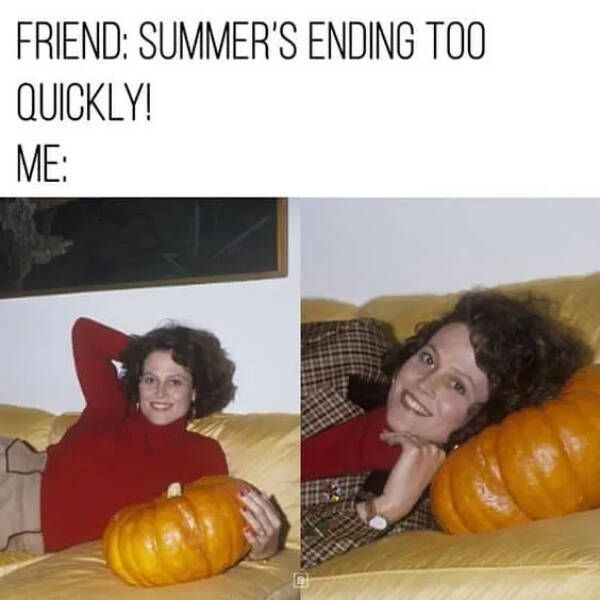 Memes To Celebrate Spooky Season