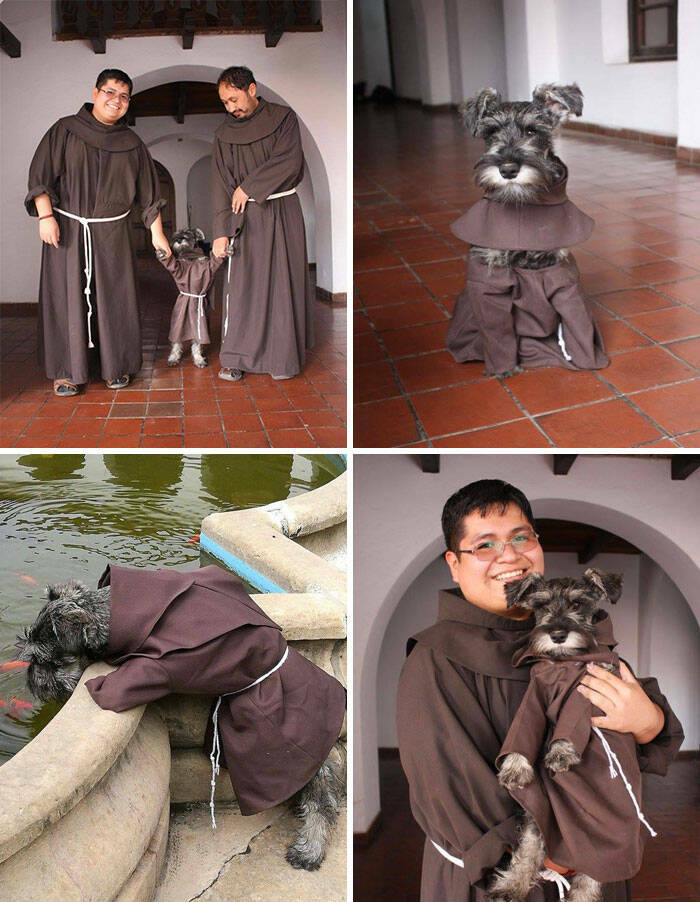 Brazils Quirky Normalcy: Unusual Photos That Define The Culture
