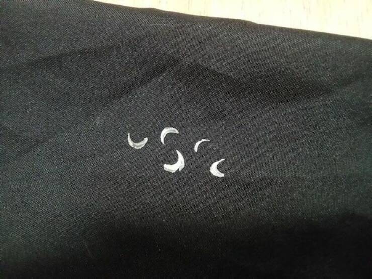 Collectors Chronicles: Extraordinary Tales Of Epic Collections