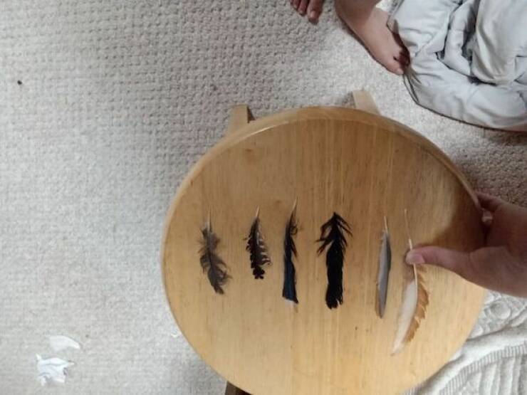 Collectors Chronicles: Extraordinary Tales Of Epic Collections