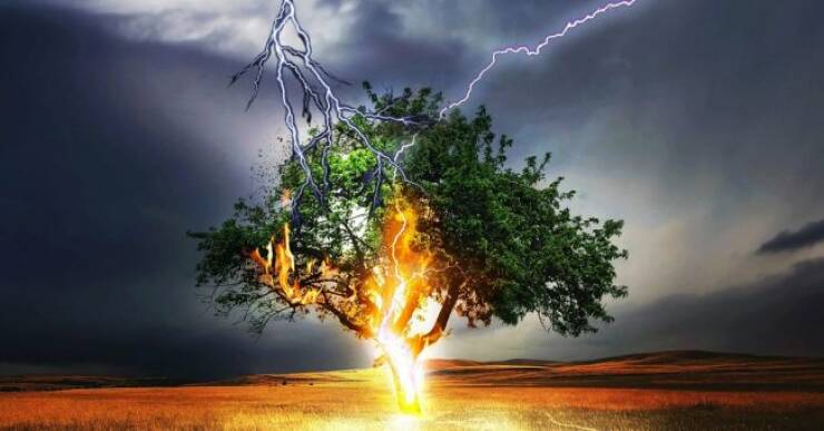 Electrifying Insights: Facts Thatll Make Lightning Strike Twice In Your Mind
