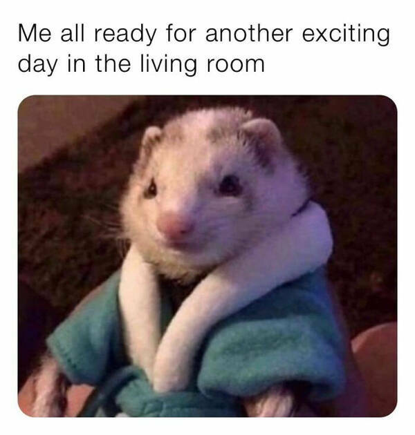 Introverted Romance: A Quiet Journey Filled With Entertainment Introverted Romance: A Quiet Journey Filled With Entertainment