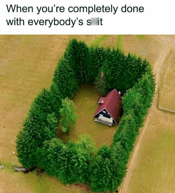 Introverted Romance: A Quiet Journey Filled With Entertainment Introverted Romance: A Quiet Journey Filled With Entertainment