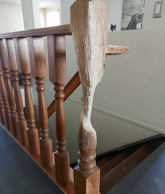 The Beauty In Decay: Captivating Images Of Worn-Down Objects (48 PICS ...