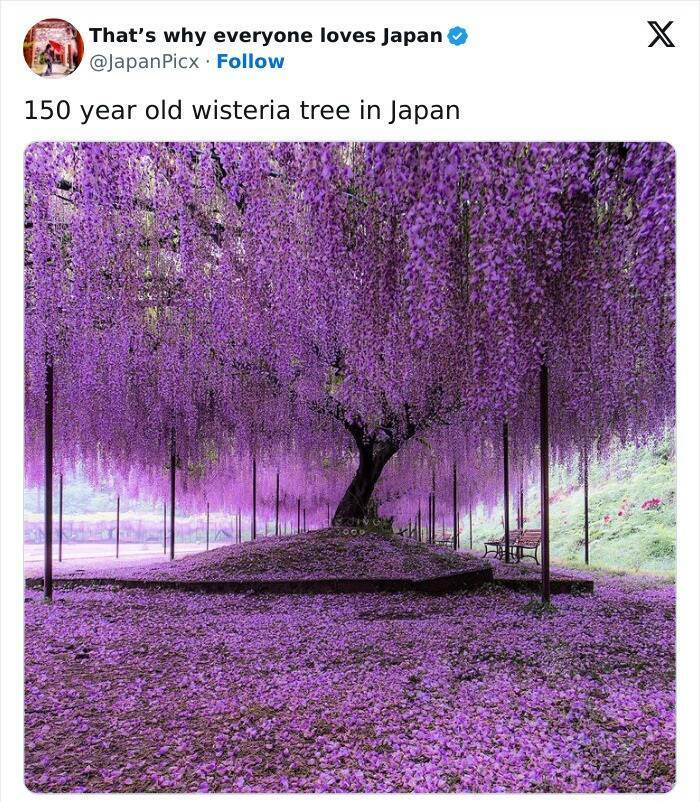 Discovering Japan: Captivating Posts That Set It Apart Discovering Japan: Captivating Posts That Set It Apart