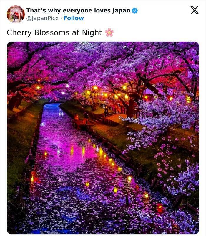 Discovering Japan: Captivating Posts That Set It Apart Discovering Japan: Captivating Posts That Set It Apart