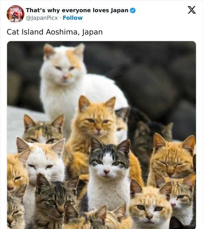 Discovering Japan: Captivating Posts That Set It Apart Discovering Japan: Captivating Posts That Set It Apart