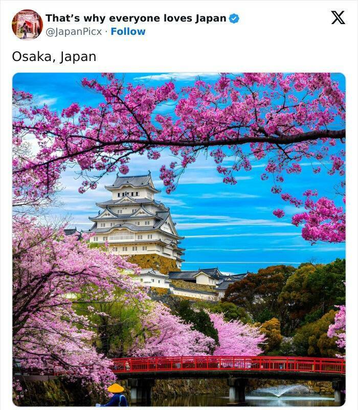 Discovering Japan: Captivating Posts That Set It Apart Discovering Japan: Captivating Posts That Set It Apart