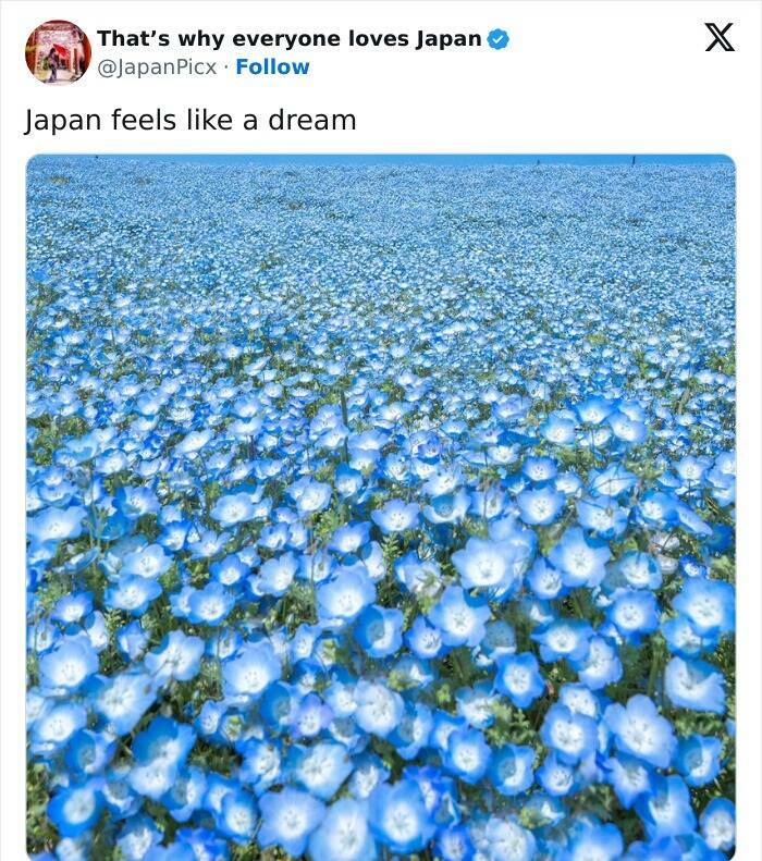 Discovering Japan: Captivating Posts That Set It Apart Discovering Japan: Captivating Posts That Set It Apart