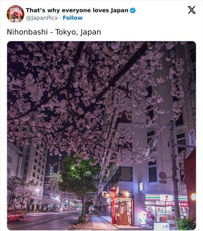 Discovering Japan: Captivating Posts That Set It Apart Discovering Japan: Captivating Posts That Set It Apart