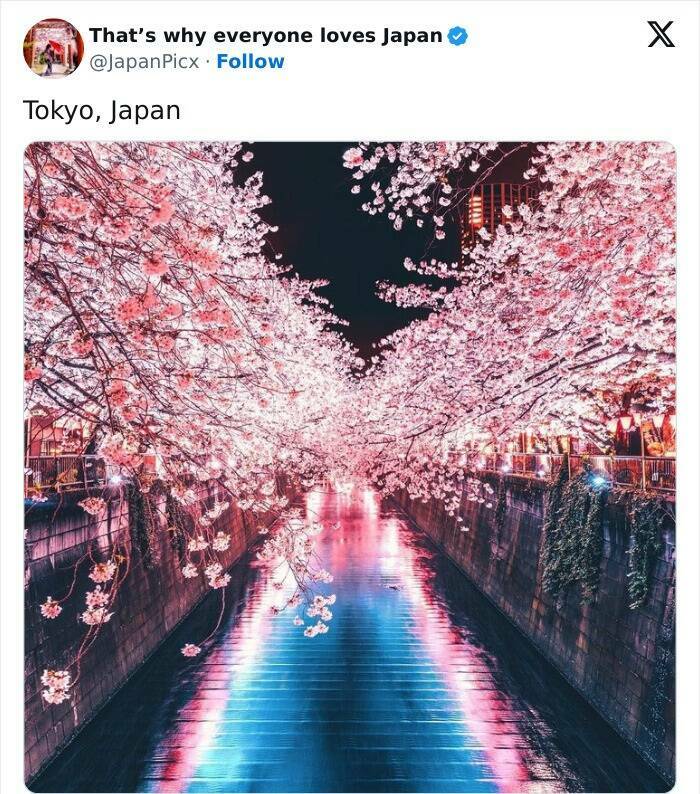 Discovering Japan: Captivating Posts That Set It Apart Discovering Japan: Captivating Posts That Set It Apart