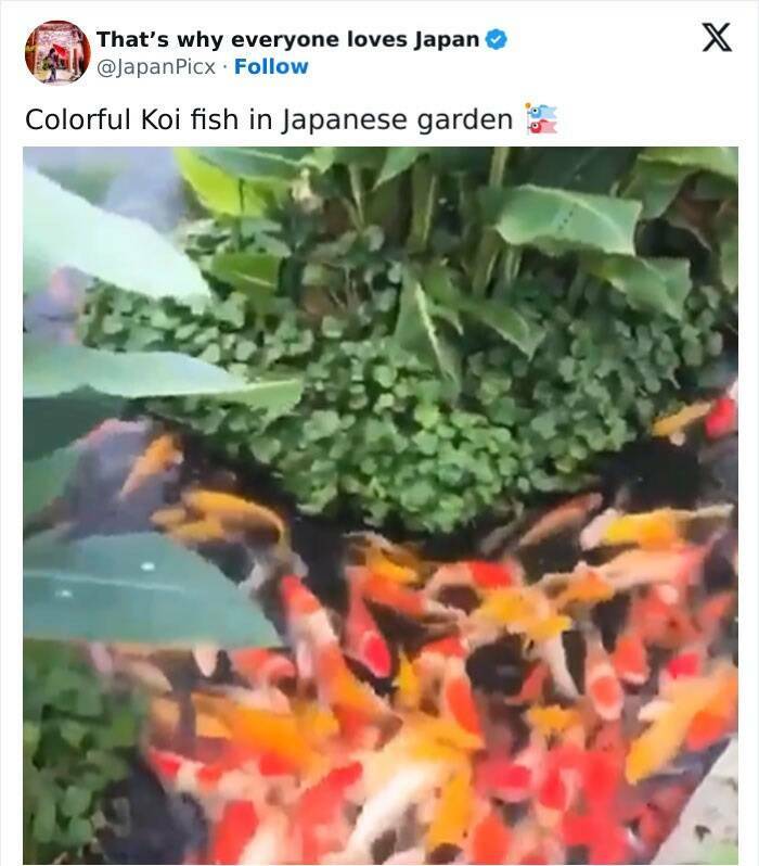 Discovering Japan: Captivating Posts That Set It Apart Discovering Japan: Captivating Posts That Set It Apart