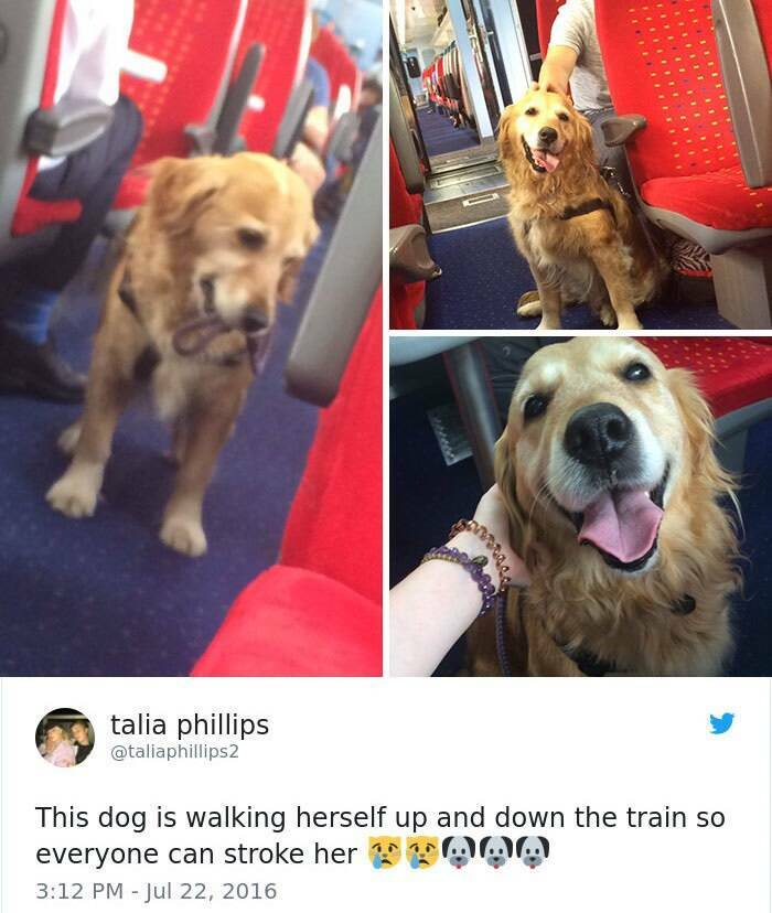 Heartwarming Moments: Posts That Renew Your Faith In Humanity
