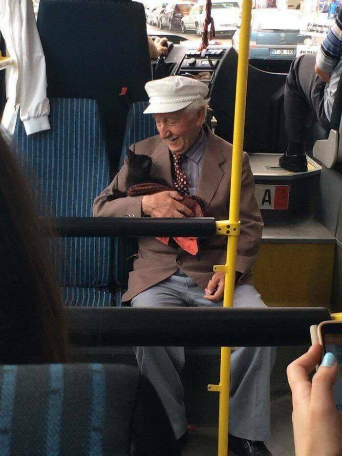 Heartwarming Moments: Posts That Renew Your Faith In Humanity