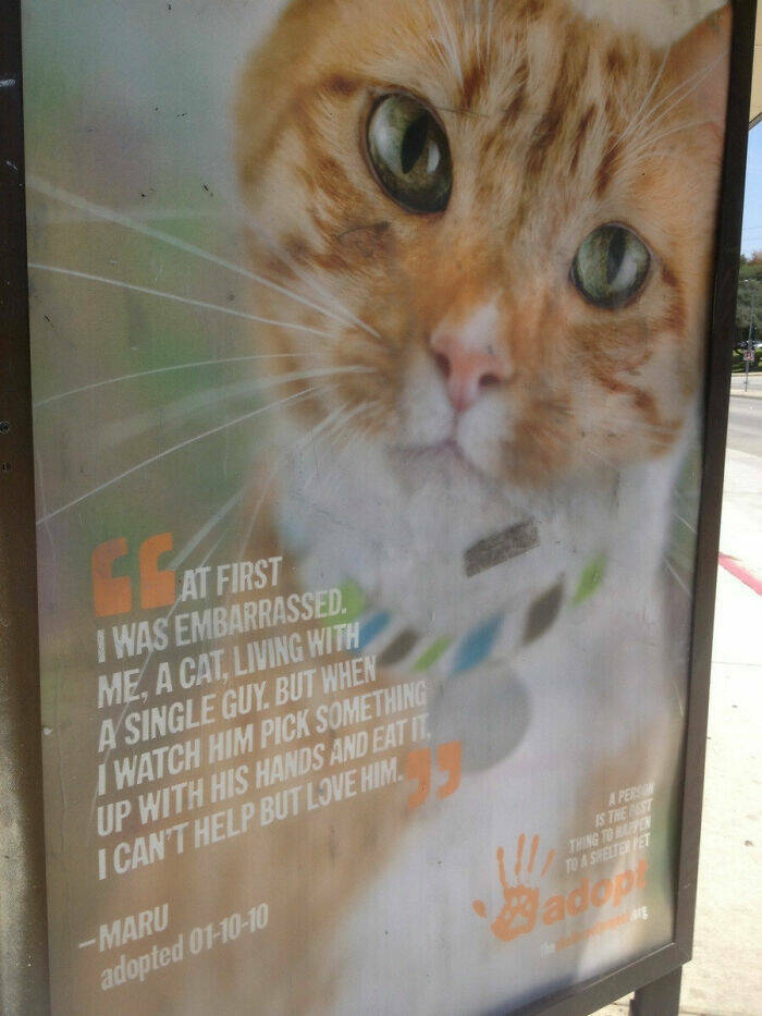 Ad Brilliance: When Marketing Went Viral For All The Right Reasons Ad Brilliance: When Marketing Went Viral For All The Right Reasons