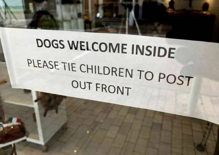 Signs Of Wit And Laughter: Chuckle-Inducing Messages