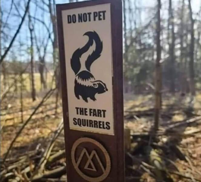 Signs Of Wit And Laughter: Chuckle-Inducing Messages