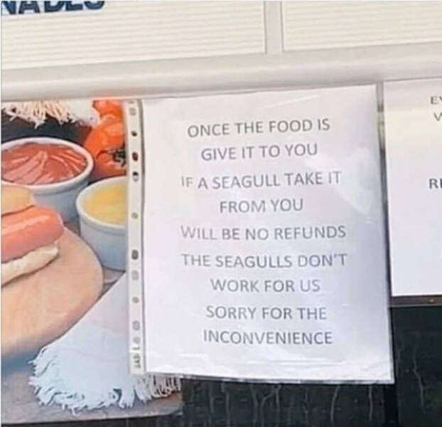 The Comedy Of Translation Errors