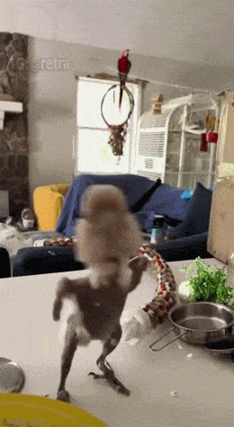 Daily Gifdump [WEEKEND EDITION]