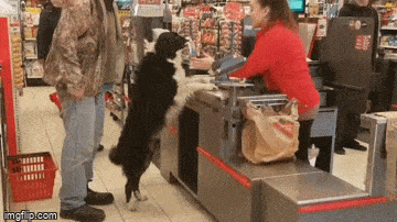 Daily Gifdump [WEEKEND EDITION]