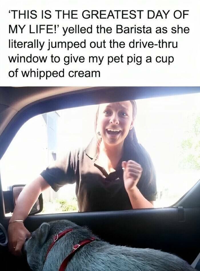 Good-Natured Humor: Polite Memes That Bring Smiles