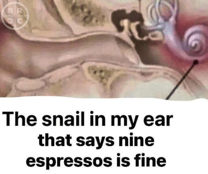 Caffeine And Chuckles: Memes For Your Coffee Break Caffeine And Chuckles: Memes For Your Coffee Break