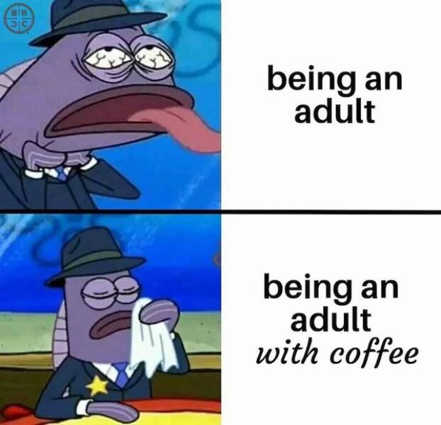 Caffeine And Chuckles: Memes For Your Coffee Break Caffeine And Chuckles: Memes For Your Coffee Break