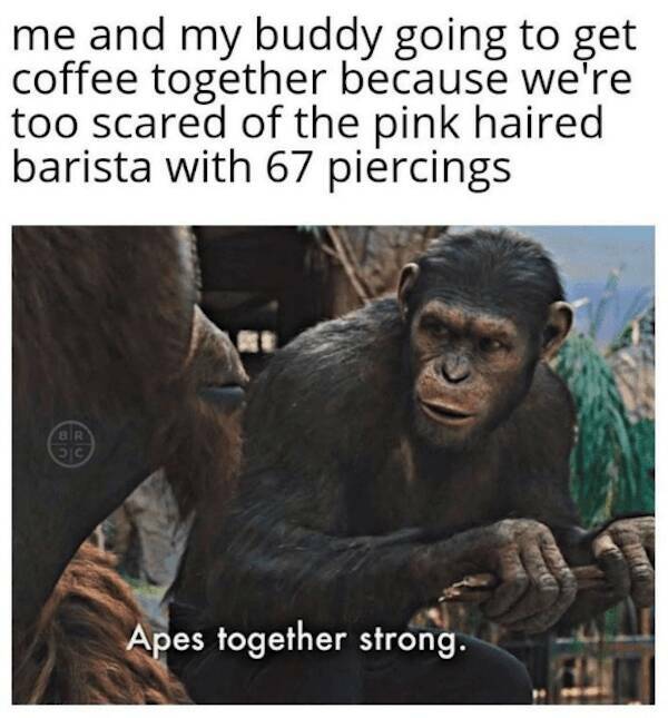 Caffeine And Chuckles: Memes For Your Coffee Break Caffeine And Chuckles: Memes For Your Coffee Break