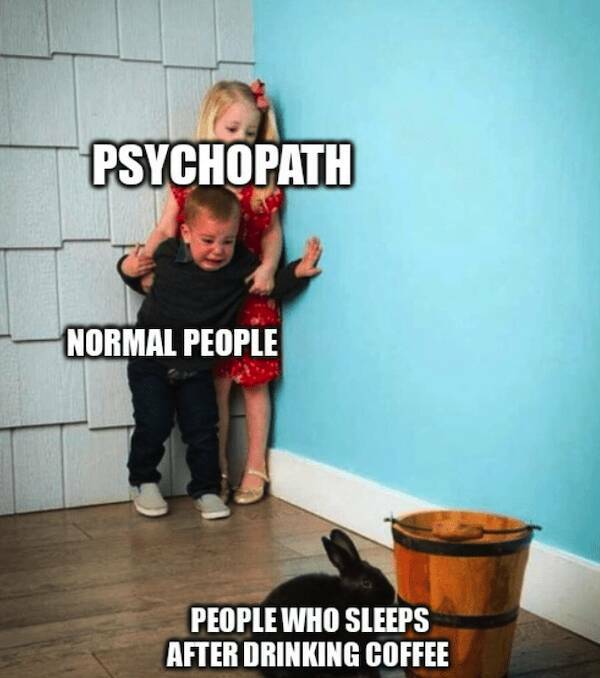 Caffeine And Chuckles: Memes For Your Coffee Break Caffeine And Chuckles: Memes For Your Coffee Break