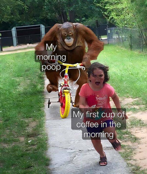 Caffeine And Chuckles: Memes For Your Coffee Break Caffeine And Chuckles: Memes For Your Coffee Break