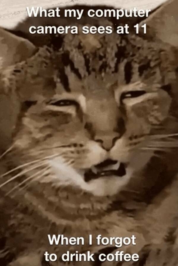 Caffeine And Chuckles: Memes For Your Coffee Break Caffeine And Chuckles: Memes For Your Coffee Break