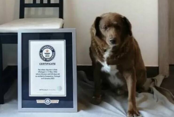 Incredible Real-Life Tales: Stories That Leave You Fascinated