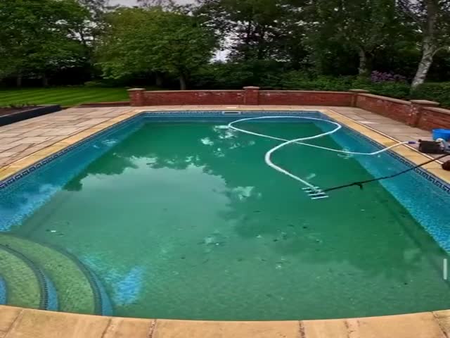 Pool Cleaning. Perfectionists Will Appreciate It!