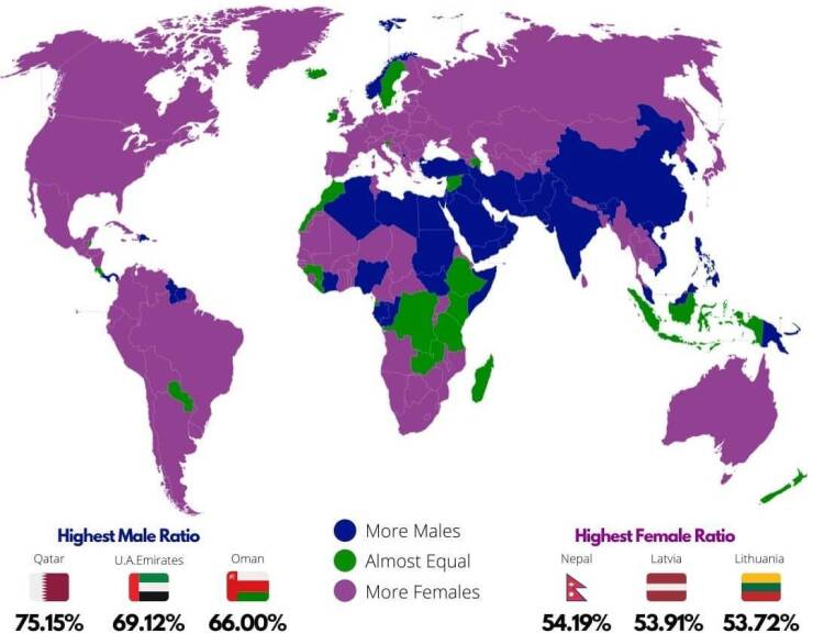 The Chart of Trivia: Unearth Fascinating Yet Useless Facts