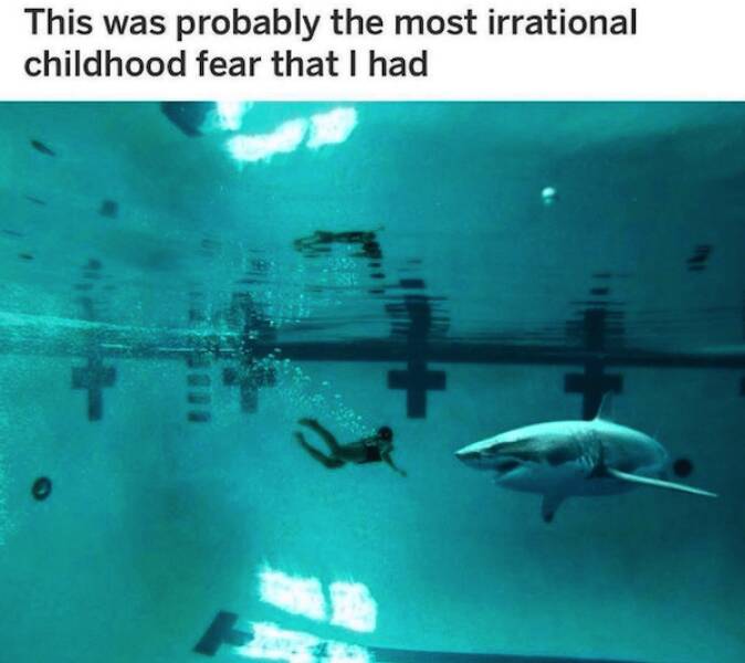 Unfiltered Memes: Embracing The Raw Truth