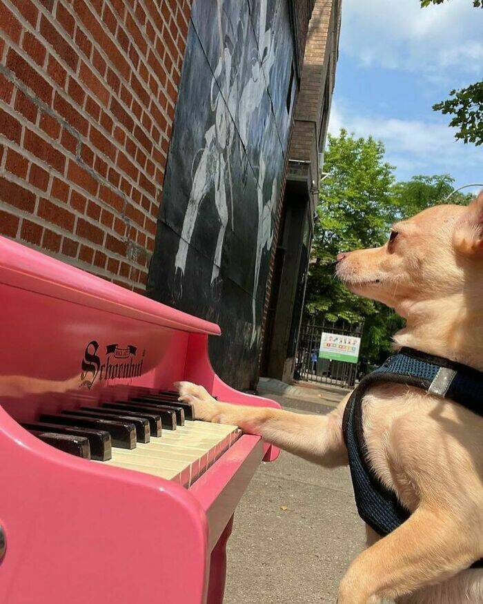 Hidden Gems of NYC: Lost And Found Treasures Hidden Gems of NYC: Lost And Found Treasures